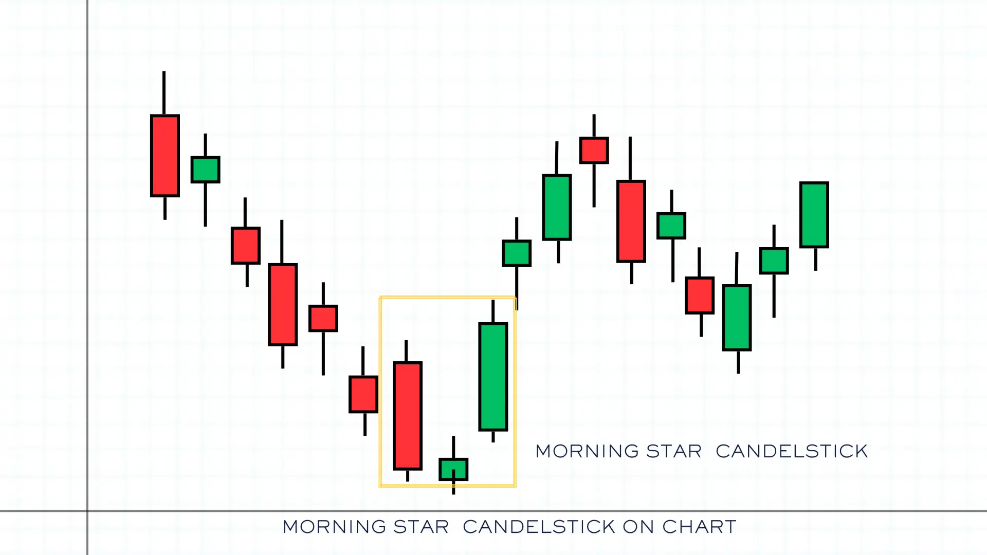 7_6Morning stare