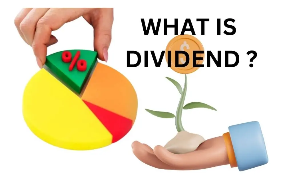 Dividend